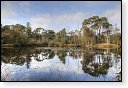 Oisterwijkse Bossen en Vennen Kampina natuurgebied natuur oisterwijk Nationaal park Landschap Het Groene Woud hei heide bossen natuurmonumenten brabant baronie boswachterij dorst